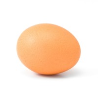 _egg _egg.jpg